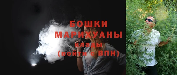 бошки Нея