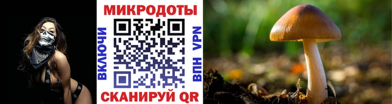 площадка как зайти где продают наркотики Чердынь Галлюциногенные грибы Psilocybine cubensis