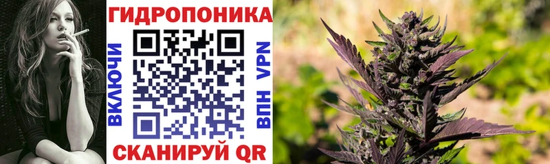 МАРИХУАНА THC 21%  Чердынь 